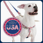 2 Hounds Design Freedom No Pull Dog Harness, Adjustable Harness and Leash Set, Easy Walking & Comfortable Control, Fits Small, Medium & Large Dogs, Solid Colors, Made in USA, 5/8" XS, Kelly Green