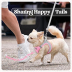 rabbitgoo Dog Harness Small Sized and Leash Set, Step in Soft Light Puppy Vest, Breathable Mesh Pet Harness, Reflective for Safe Easy Walking, Pink & Gray XXS