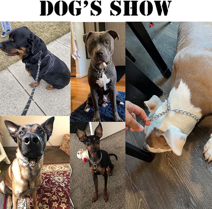 Silver Small Dog Chain Collar Metal Collar Slip P Dogs Link Training Puppy Martingale Collars for XS Small Medium Large Big XL Breed Dogs S