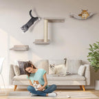 Cat Wall Shelves - 5 Pcs Wall-Mounted Cat Shelves for Wall, Including 2 Steps, 1 Perches, 1 Hammock, 1 Sisal Scratcher Post, DIY Playground for Large Cats