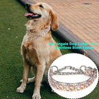 Chain Martingale Choke Collar for Dogs - No-Pull Adjustable Training Collar, Secure Control Slip Collar for Large & XL Dogs(L)