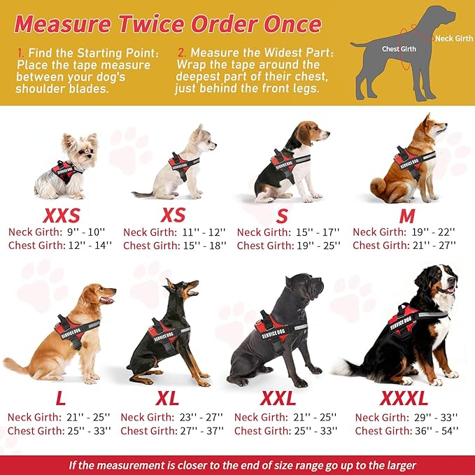 Service Dog Vest, ID Tag + 50 ADA Information Cards, Service Dog Harness in Sizes X Small to XX Large, Metal Dog Tag has Ruggedized Clip, 2-Sided Service Animal Cards,ESA Accessory Set Small