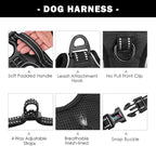 PHOEPET No Pull Dog Harnesses for Small Dogs Reflective Adjustable Front Clip Vest with Handle 2 Metal Rings 3 Buckles [Easy to Put on & Take Off] (S, Black)