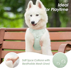 No Pull Dog Harness, Puppy Vest with Front Clip for Small Medium Large Sized Dog(Light Green,XL)