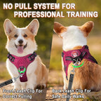 Dog Harness Step in Dog Vest Harness, Reflective Adjustable Puppy No Pull Harness Breathable Soft for Small and Medium Dogs Cats, Pink/Black, XS