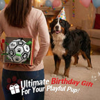 QDAN 10 Inch Gaint Dog Soccer Ball with Straps, Durable Big Dogs Balls, Outdoor Large Dog Toys, Herding Balls for Dogs, FloatingToy, Birthday Gifts (10 Inch)