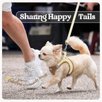 rabbitgoo Dog Harness Small Sized and Leash Set, Step in Soft Light Puppy Vest, Breathable Mesh Pet Harness, Reflective for Safe Easy Walking, Brown & Beige XS