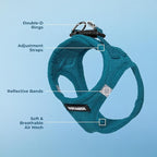 Best Pet Supplies Voyager Step-in Air Harness - All Weather Mesh, Reflective, No Pull Harness for Dogs, Cats - Secure with Hook & Loop Fastener, Buckle, Double D-Rings - Turquoise, L