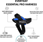 ShawnCo Essential Pro Dog Harness, No-Pull Pet Vest with 3 Leash Clips and Removable, Reflective Side Patches, Adjustable and Padded Harness for Small, Medium and Large Dogs (Electric Blue, M)
