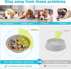 Dog Bowls Double Dog Water and Food Bowls Stainless Steel Bowls with Non-Slip Resin Station, Pet Feeder Bowls for Puppy Medium Dogs Cats