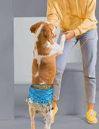Dog Belly Dancer Costume - Puppy Outfit with Sequin Waist Chain & Hip-Shaking Skirt - Ideal for Corgi and Puppy Birthday Parties or Halloween Celebrations(Small,Lake Blue)
