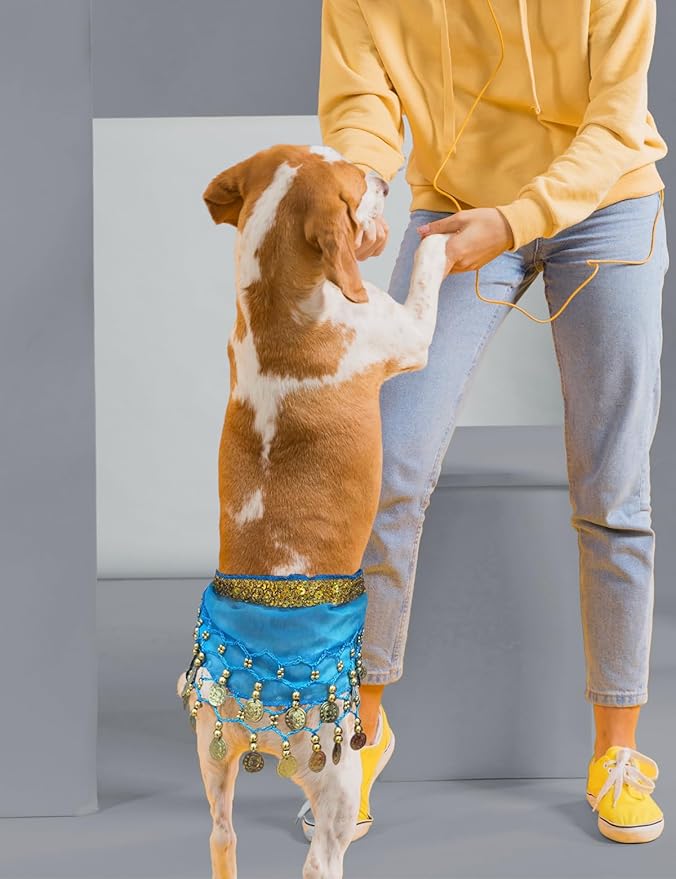 Dog Belly Dancer Costume - Puppy Outfit with Sequin Waist Chain & Hip-Shaking Skirt - Ideal for Corgi and Puppy Birthday Parties or Halloween Celebrations(Small,Lake Blue)