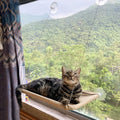 Cat Window Perch, Hammock Seat Bed - Space Saving Design, 360 Sunbath, Holds Up to 50lbs for Any Size