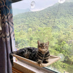 Cat Window Perch, Hammock Seat Bed - Space Saving Design, 360 Sunbath, Holds Up to 50lbs for Any Size
