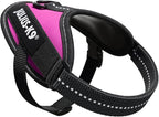 Julius-K9, 16IDC-DPN-B1, IDC Powerharness, Dog Harness, Size: Baby 1, Dark Pink