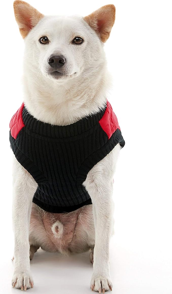 Gooby Fashion Vest Dog Jacket - Red, Large - Warm Zip Up Dog Bomber Vest with Dual D Ring Leash Water Resistant for Small to Medium Dogs