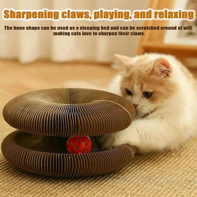 Twisty Paws Cardboard Cat Toy – 2025 Upgraded Foldable Cardboard Cat Scratcher, Durable Honeycomb Design 2-in-1 Interactive Toy for Cats’ Play, Rest & Exercise (2)