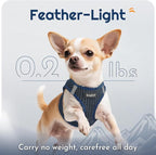 Eagloo Small Dog Harness and Leash Set, Step in Puppy Vest with Breathable Soft Mesh, Walking Reflective Pet Harness for Extra Small Dogs, Navy Blue, XXS