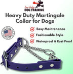 Martingale Collar for Dogs, Biothane, Stainless Steel Hardware, No Pull, Made in The USA, Professional Grade, Small, Purple