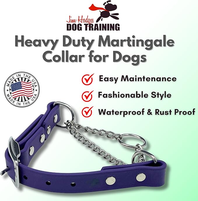 Martingale Collar for Dogs, Biothane, Stainless Steel Hardware, No Pull, Made in The USA, Professional Grade, Large, Purple