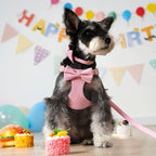 Beirui Adorable Small Dog Harness Collar Leash Set,Cute Puppy Harness with 3 Bows for XS Dogs,Yorkie,Adjustable Step-in Vest for Walking,Parties&Holiday Outfits(Pink,XS)