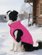 AURUZA Dog Winter Coat, Warm Waterproof Dogs Jacket Small Pet Vest for Medium Dogs Windproof Pet Fleece Vest Snow Jacket for Cold Weather(Hot Pink,XXL)