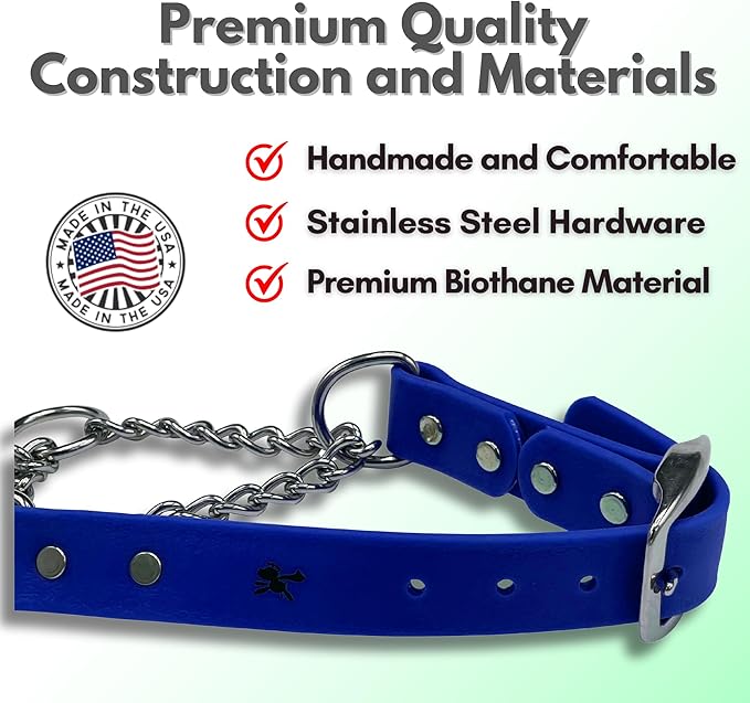 Martingale Collar for Dogs, Biothane, Stainless Steel Hardware, No Pull, Made in The USA, Professional Grade, XS, Blue