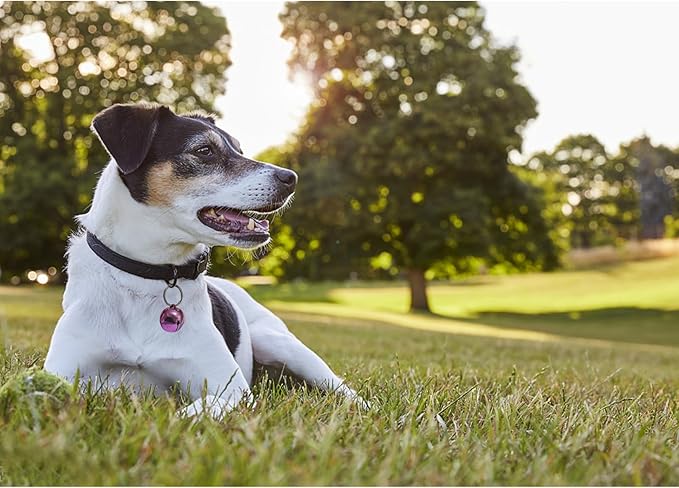 Large Dog Bells, Collar Loud Bells, Pet Tracker，Pet Loss Prevention, Handmade Metal(Pink)