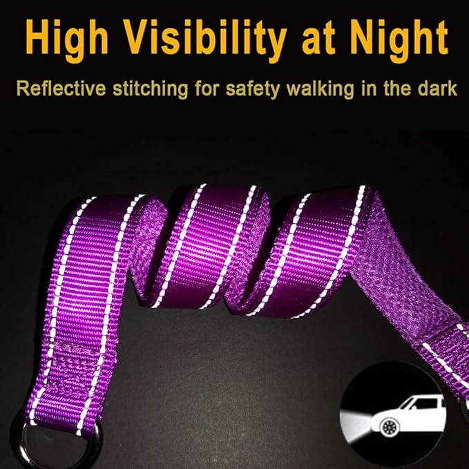 Reflective Slip Dog Collar, Loop Dog Collar for 44-75 lbs Dogs Nylon Collars with Soft Padded for Pet Training in Purple 22", Wide 1"