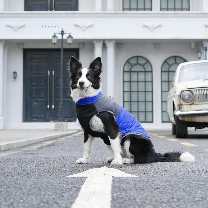 Warm Fleece Dog Coats for Medium Dogs,D-Rings Waterproof Puppy Jacket for Cold Winter,Blue XL