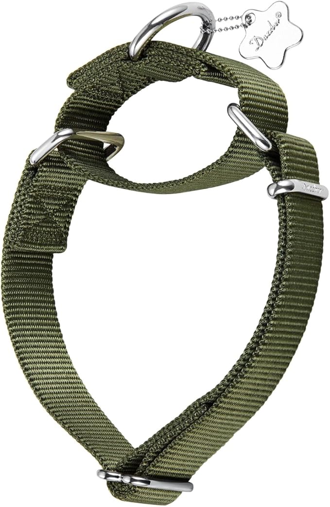 Martingale Dog Collar, Escape-Proof and No Slip Design, Heavy-Duty Nylon with Metal Buckle, Adjustable for Small, Medium & Large Dogs, Colorfast for Training, Daily Walks (Military Green,M)