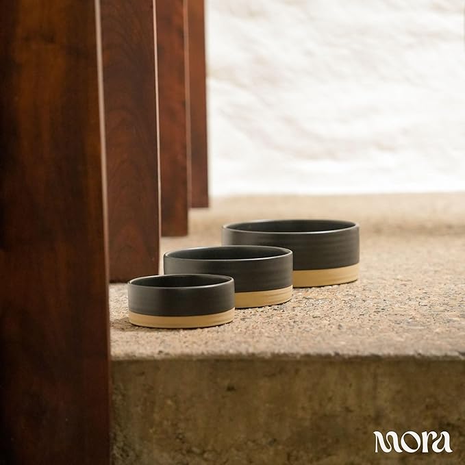 Mora Ceramic Pet Bowl Size Small - Food/Water Dish for Puppy Dogs, Cats, Guinea Pig, Rabbit, Hamster, Snake, ect. 11oz or 2 Cups - Basic Bowls for Your Dog or Cat, Mix and Match for a Set - Liquorice