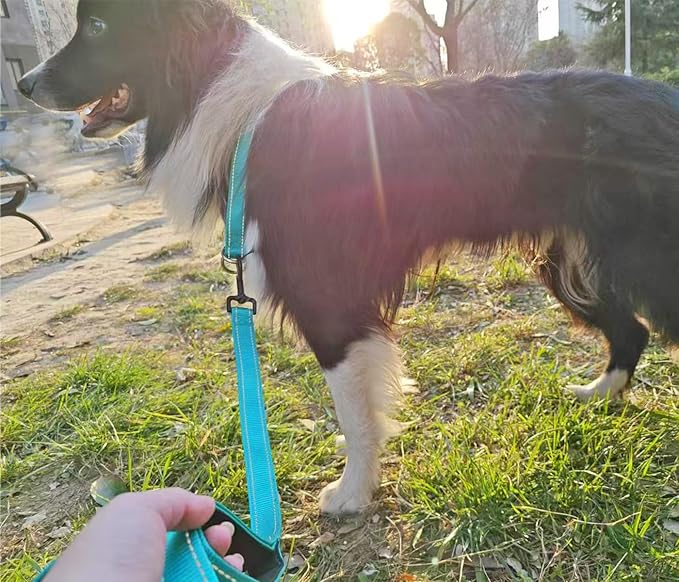 Reflective Slip Dog Collar, Loop Dog Collar for 44-75 lbs Dogs Nylon Collars with Soft Padded for Pet Training– Turquoise, 1" W x 22" L (Fits Neck 15.7"-19.7")