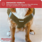 Downtown Pet Supply Step in Dog Harness for Teacup Dogs & Cats No Pull, XX-Small, Hunter Green - Adjustable Harness with Padded Mesh Fabric and Reflective Trim - Buckle Strap Harness for Dogs