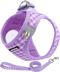 AIITLE Small Dog Harness with Leash – Soft Breathable Mesh, Plaid Pattern & Reflective Strips – Ideal for Training, Running & Party Outings (S, Purple)