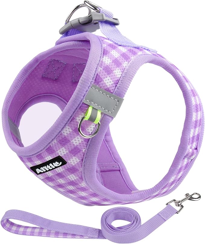 AIITLE Dog Harness and Leash Set, Reflective Adjustable Soft Mesh Vest with Plaid Print for Small Dogs – Breathable No-Pull Design for Daily Walks & Outdoor Adventures (XXS, Purple)