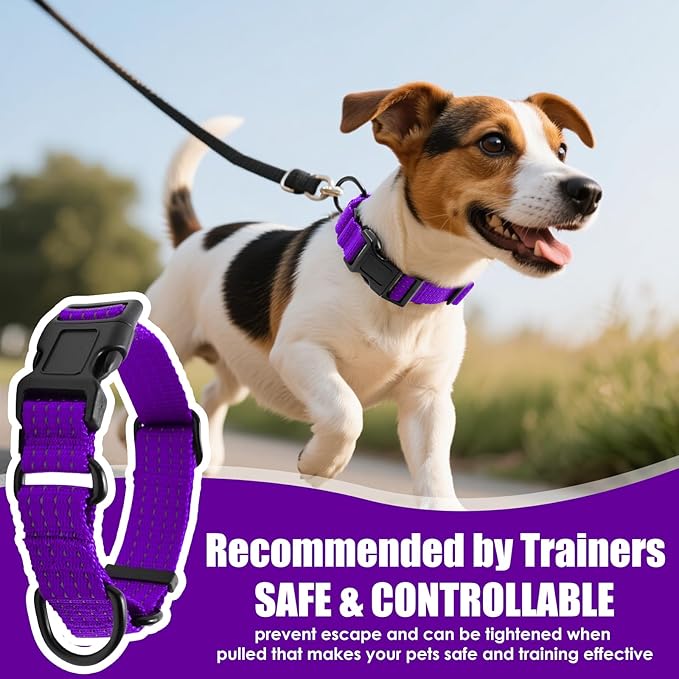 Martingale Collar for Dogs, Adjustable Soft Nylon Dog Collars with Special Design Cute Patterns (Purple, M (1" x 15.5"-19.5"))