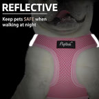 PUPTECK Dog Harness and Leash Set for Small Medium Dogs No Pull Step-in Soft Mesh Puppy Cat Vest Harnesses Reflective at Night, Pink & Blue, M
