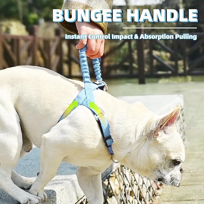 PUPTECK No Pull Dog Harness Small Sized Dog, Adjustable Reflective Pet Vest Harness with Bungee Handle, Escape Proof No Choke Harness for Small Dogs Walking Training, Sky Blue S