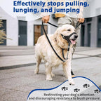 BARKLESS Sturdy No Pull Head Collar for Medium Large Dogs, Gentle Reflective Head Halter with Safety Link, Adjustable Nylon Dog Training Muzzle Leash for Walking Control (Blue, M)