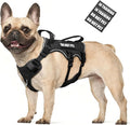 WINSEE Escape Proof Dog Harness, Service Working Molle Harness with Double Handle, Tactical Pet Vest with 4 Patches for Small Medium Large Dogs Walking Hiking Hunting