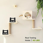 FUKUMARU Cat Wall Shelves, 5-Piece Stable Wooden Wall-Mounted Furniture Set, Kitty Climber with Hammock, House, Steps, Scratching Post (Beige)
