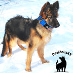 Tactical Dog Collar 2 Inch Wide Thick Heavy Duty Military Style with Metal Buckle, Adjustable for Medium - Large Breeds, Durable K9 Training Gear with Patch Area, USA Flag Patch, Strong and Secure Fit
