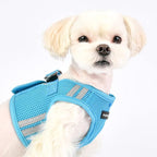 Puppia Soft Vest Dog Harness No Choke Step-in Reflective Triple Layered Breathable Mesh for Small and Medium Dog, Sky Blue, Small