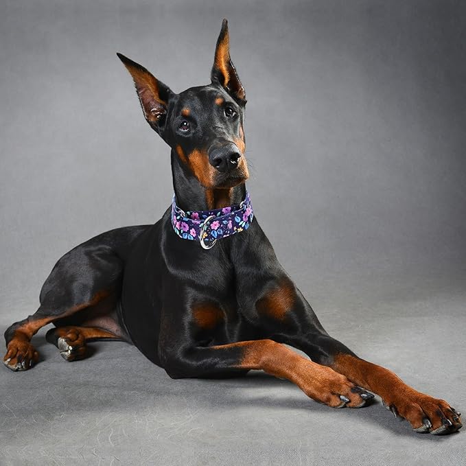 Martingale Dog Collars for Large Dogs, 1.5 Inches Wide and Thick Dog Collars with Bull Flower Design, Perfect Collar for Dogs with Larger Heads & Necks (M)