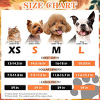 EXPAWLORER Thanksgiving Autumn Puppy Harness - Dog Collar and Leash - Soft Mesh Padded Adjustable Step in Small Dog Vest Harness No Pull, Reflective Escape Proof for Outdoor Walking, Orange S
