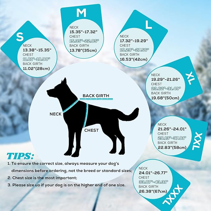 EMUST Dog Cold Weather Coats, Fleece Lining Small/Medium/Large Dog Jacket for Winter, Warm Waterproof Pet Winter Clothes for Large Dogs, Turquoise, XL