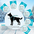 EMUST Dog Coat Winter, Waterproof Pet Snow Jacket for Winter, Adjustable Small/Medium/Large Dog Coat, Turquoise, L