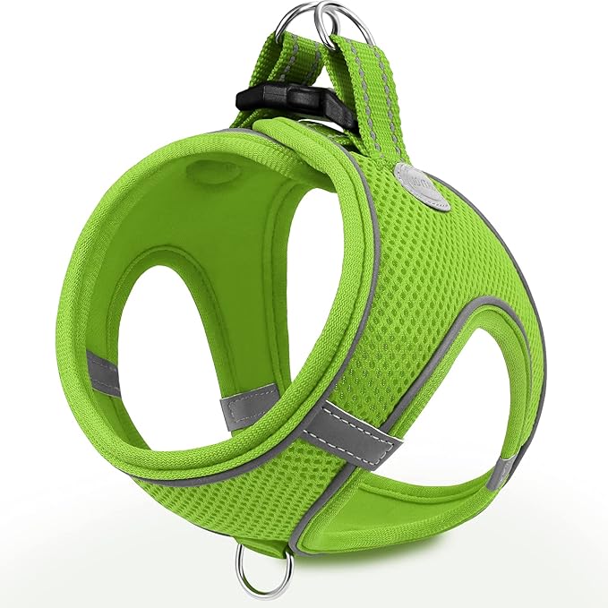 Joytale Small Dog Harness, Breathable Mesh Step-in Vest, Reflective Soft Padded Harnesses for Small and Medium Dogs, Green, M