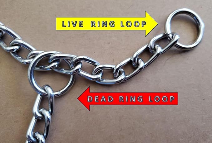 Chain Choke Collar for Dogs, Metal Slip Link Training Heavy Duty Dog Choker Collar Martingale Puppy Collars for XS Small Medium Large Big XL Breed Dogs (Silver, M(Neck Max 18inch) D3.0mm)